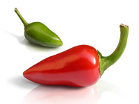 Chilli Fiesta and Fete, Felbrigg Hall